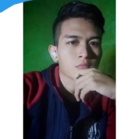 Bams